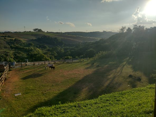 IMG_20230411_171232246_HDR - 2.jpg