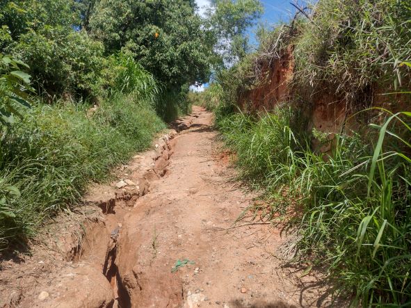 IMG_20230401_125737809_HDR 1.jpg