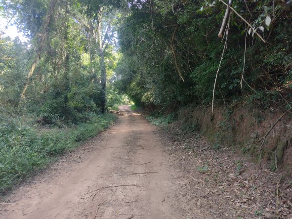 IMG_20230401_134357265 -1.jpg