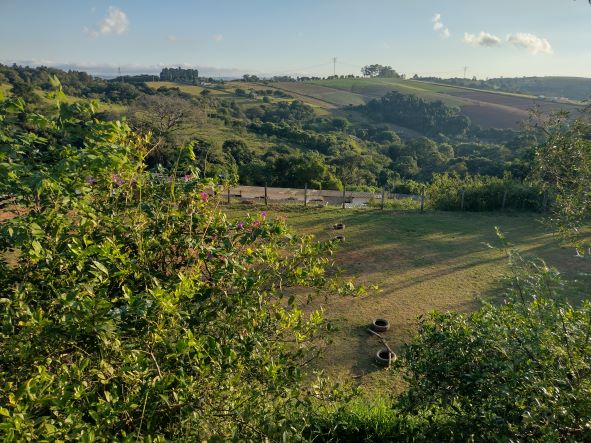 IMG_20230411_171150196_HDR - 1.jpg